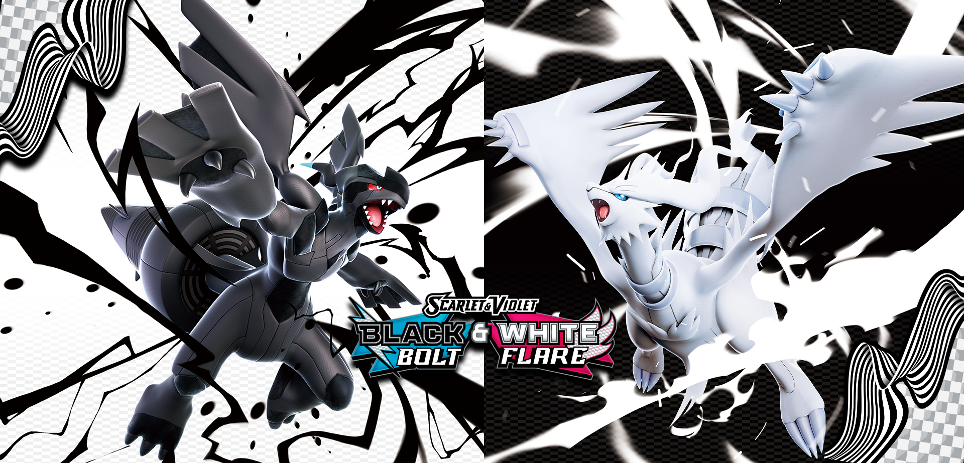 Pokemon_Black_White_Trading Card Game_20250725