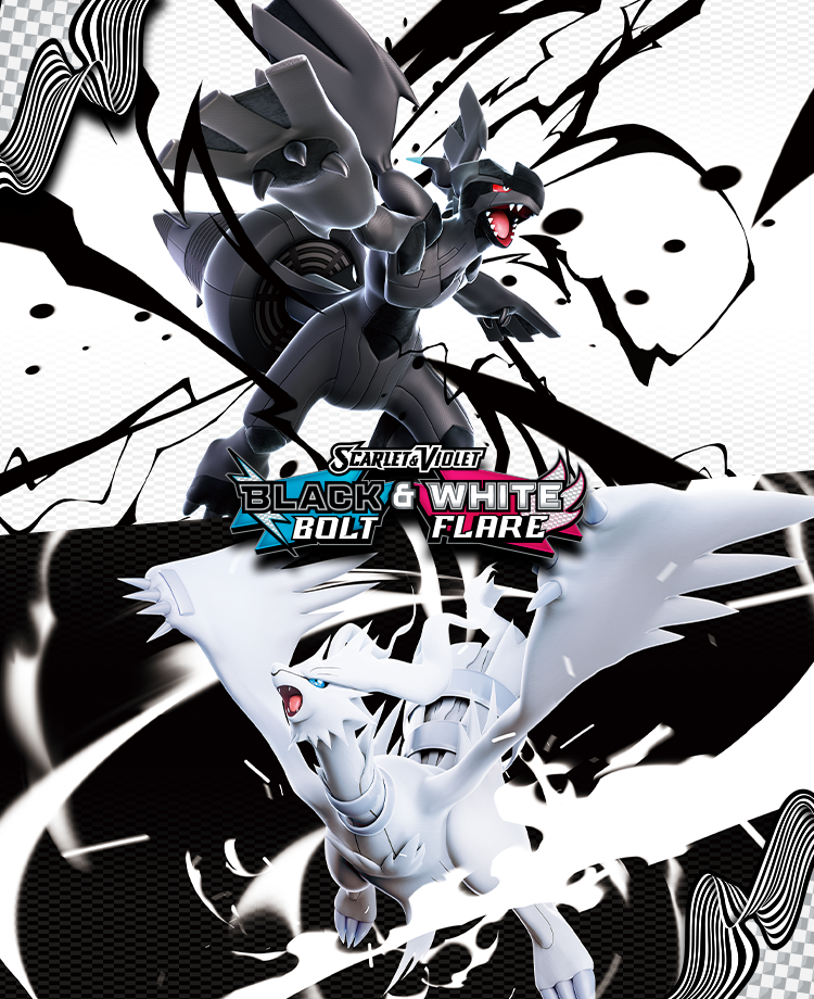 Pokemon_Black_White_Trading Card Game_20250725